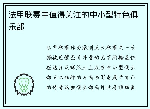 法甲联赛中值得关注的中小型特色俱乐部